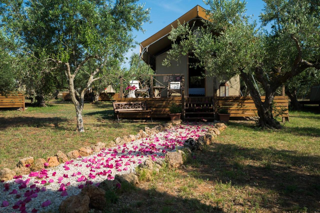 Apartmán Agrikies Country Retreat Marathopoli Exteriér fotografie