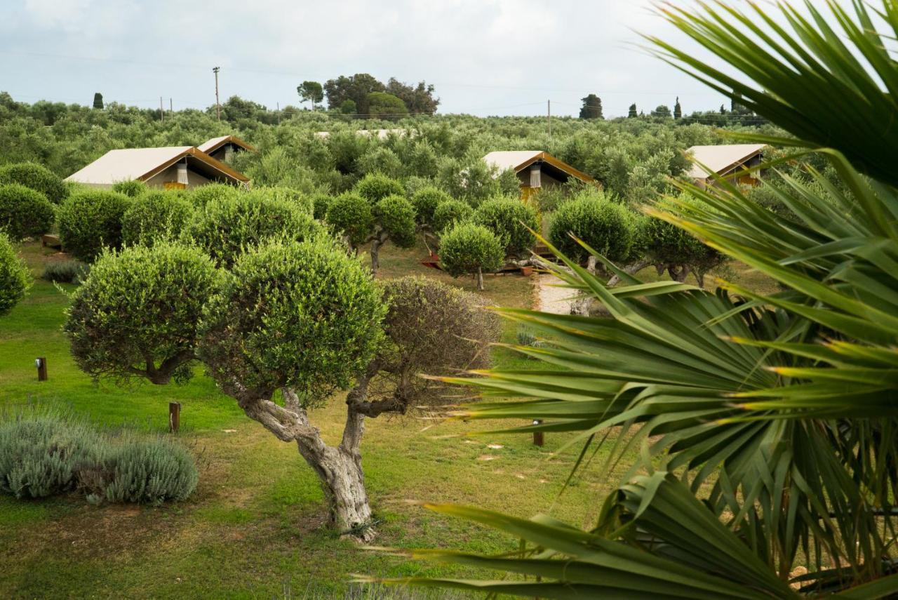 Apartmán Agrikies Country Retreat Marathopoli Exteriér fotografie