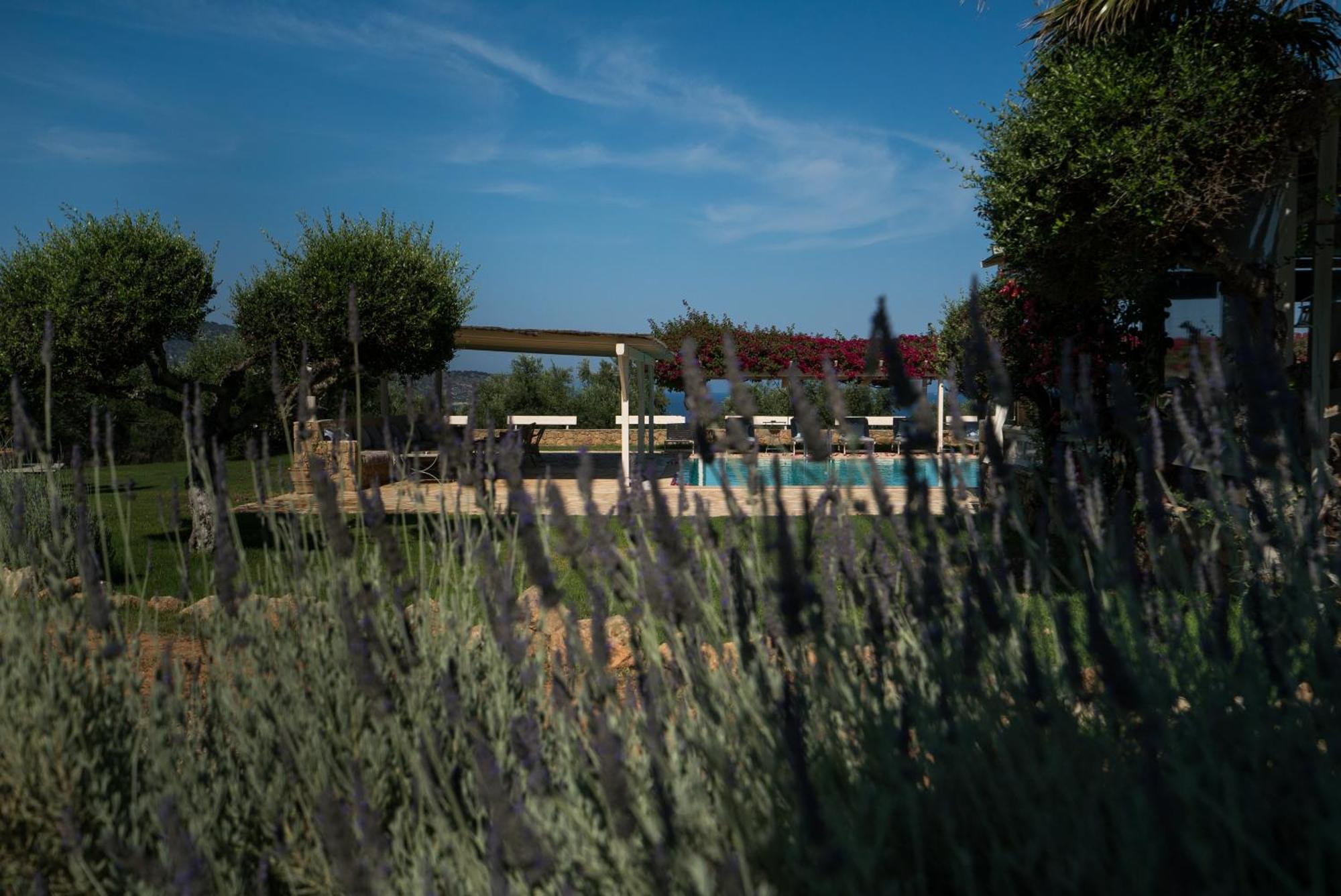 Apartmán Agrikies Country Retreat Marathopoli Exteriér fotografie